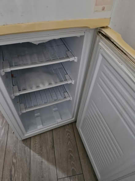 Photo of free Fridge freezer (Luton LU3) #3