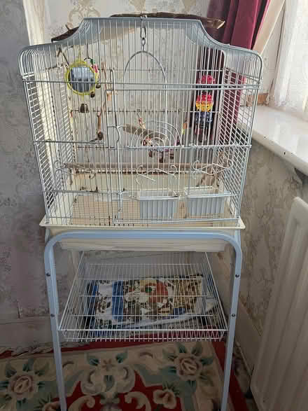 Photo of free Bird cage (Croydon) #2