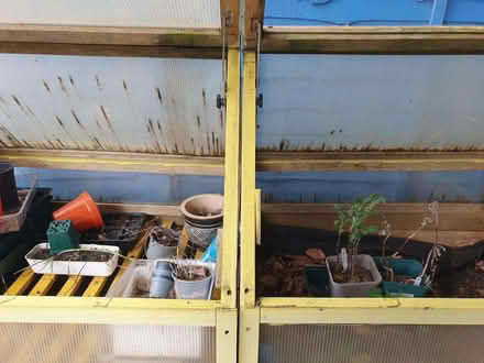 Photo of free Garden VegTrug (Southwick BN42) #4