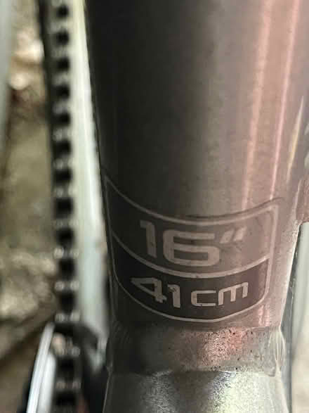 Photo of free Woman’s Trek bike (Springfield VA) #3