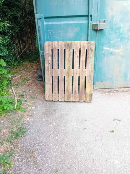 Photo of free Pallet (Bradville MK13) #2