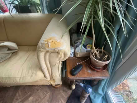 Photo of free Chesterfield style sofa made by Rest Assured (Great Billing NN3) #3