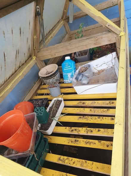 Photo of free Garden VegTrug (Southwick BN42) #2