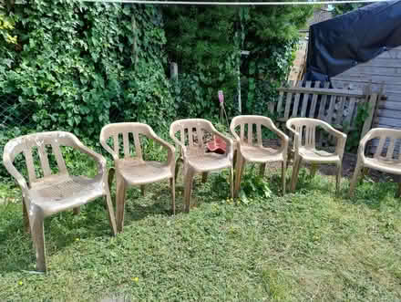 Photo of free 8 Plastic chairs (North Kensington W10) #2