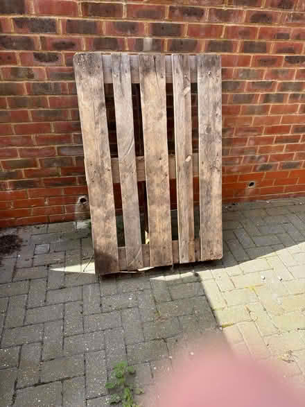 Photo of free Big strong pallet (TN39 Bexhill) #1