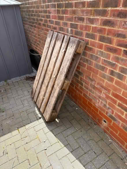 Photo of free Big strong pallet (TN39 Bexhill) #2