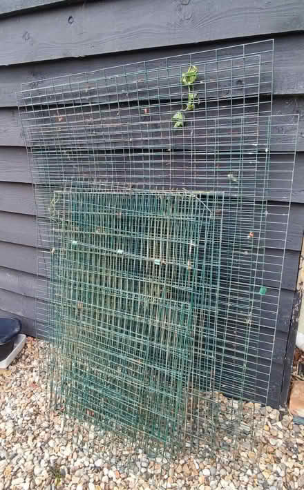 Photo of free Wire Mesh (Winfarthing) #2