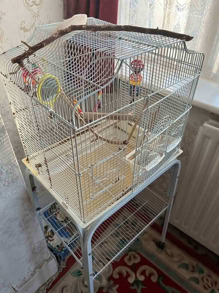Photo of free Bird cage (Croydon) #1