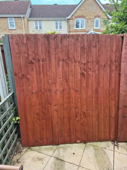 Photo of free Red fence panels (Leavenheath CO6) #1
