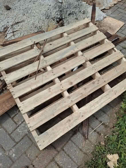 Photo of free Pallet (Watton at Stone SG14) #1