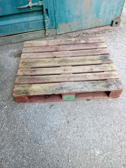 Photo of free Pallet (Bradville MK13) #1