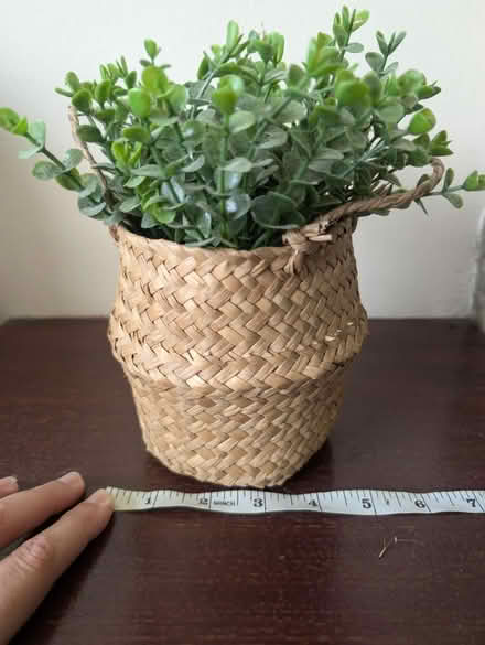 Photo of free Fake plant (Abingdon, OX14 3TD) #4