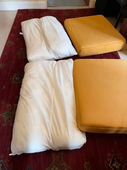Photo of free Sofa cushions (no covers). Maybe good for a dog bed? (Aley Green LU1) #1