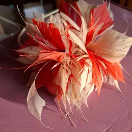Photo of free Headband/fascinator (Emmbrook RG41) #2