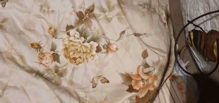 Photo of free Curtains (Cumnor OX2) #4