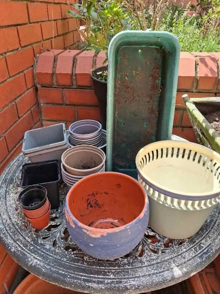 Photo of free Pots (Soho WC2H) #1