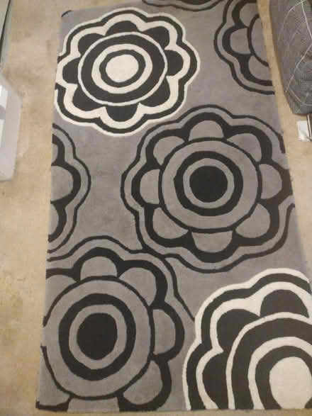 Photo of free Buckingham wool rug (Norwich NR7) #1