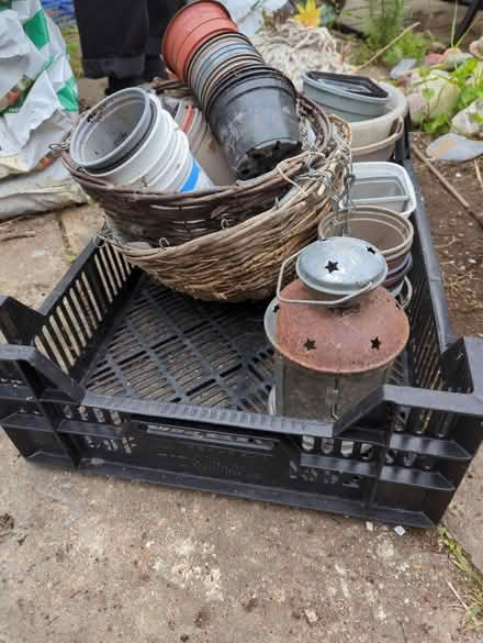 Photo of free Selection of plabt pots & others (Eynesbury) #3
