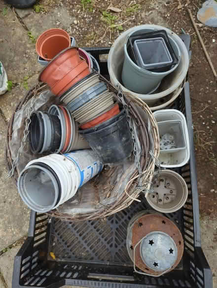 Photo of free Selection of plabt pots & others (Eynesbury) #1