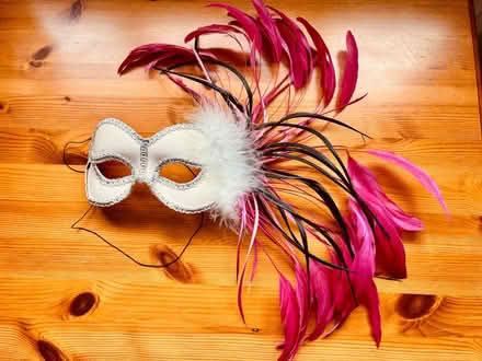 Photo of free Mask with feathers (Eaton Bray LU6) #1
