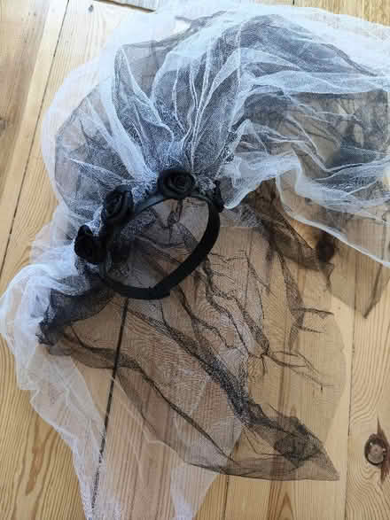 Photo of free Dressing up Alice band veil (Keynsham Memorial Park BS31) #2