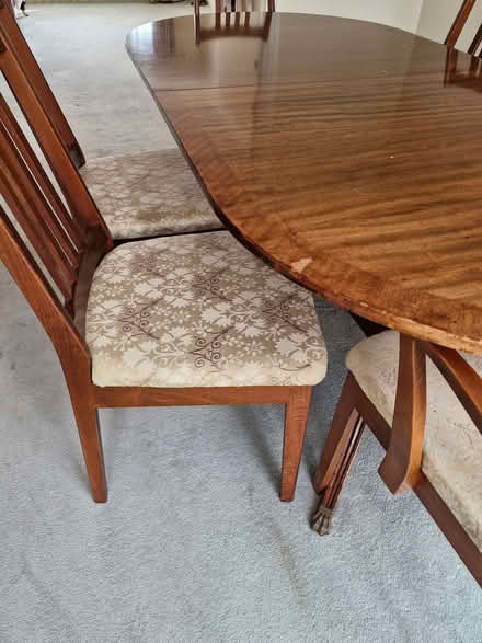 Photo of free Dining Table and 6 Chairs (Great Baddow CM2) #3