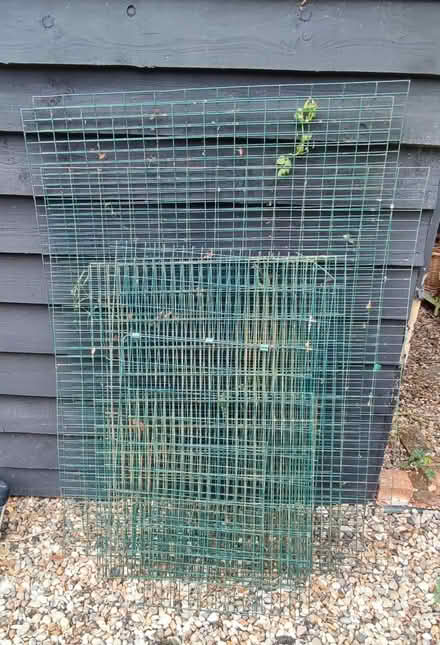 Photo of free Wire Mesh (Winfarthing) #1