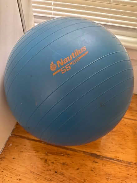 Photo of free Exercise Ball (Weston) #1
