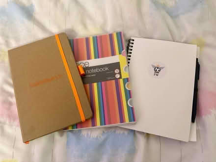 Photo of free 3x lined notebooks (Epsom KT17) #1