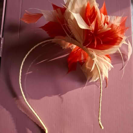 Photo of free Headband/fascinator (Emmbrook RG41) #1