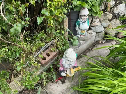 Photo of free Gnomes (Liverpool 13 /Stoneycroft) #2