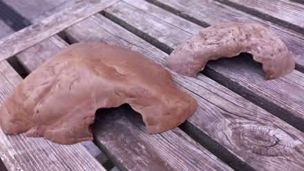 Photo of free Exo terra reptile caves for aquarium (Craigie PH2) #1