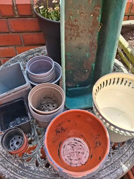 Photo of free Pots (Soho WC2H) #3