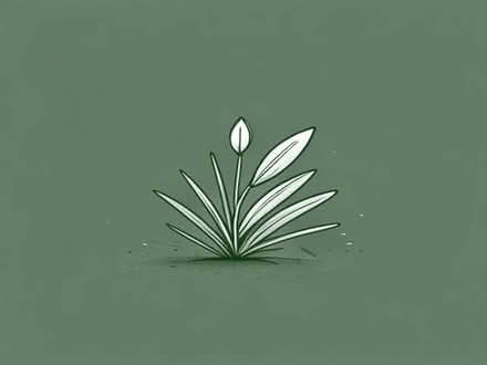 Photo of Grass seed (Soho WC2H) #1