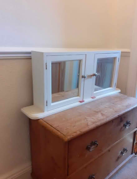 Photo of free Bathroom cabinet (Bear flat, Bath) #1
