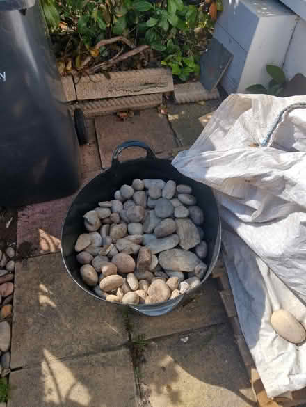 Photo of free Pebbles for garden rockery or craft (Dorking. RH43) #1