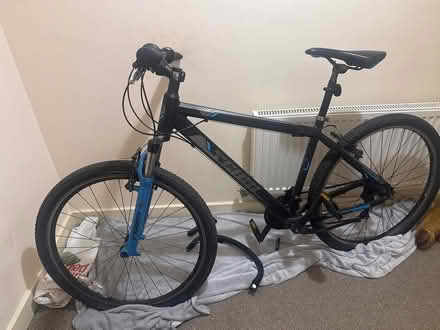 Photo of free Team adult mountain bike (warrington) #1