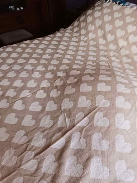 Photo of free Heart bed cover (Cherry Hinton Ward CB1) #2