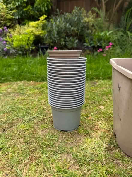 Photo of free Plastic plant pots (Chelmer village CM2) #3