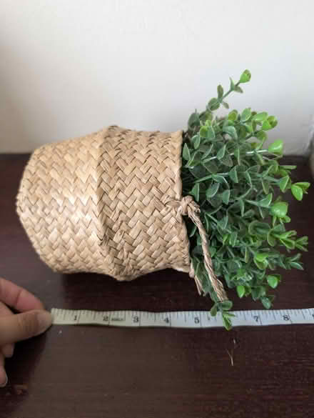 Photo of free Fake plant (Abingdon, OX14 3TD) #3
