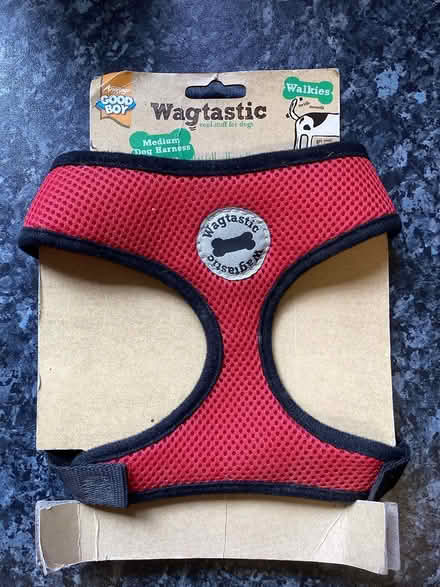 Photo of free Dog harness- medium (Boxted CO4) #1