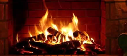Photo of firewood timber logs (Manor Gardens TQ1) #1