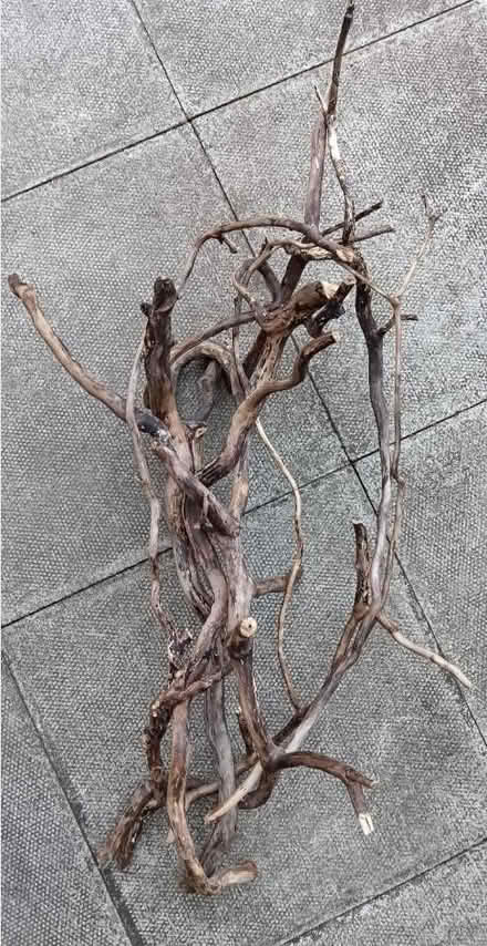 Photo of free Twisted Driftwood Bundle (Longridge PR3) #3