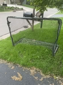Photo of free Hockey Net for driveway or street (17175 Acorn Ridge. EP.) #1