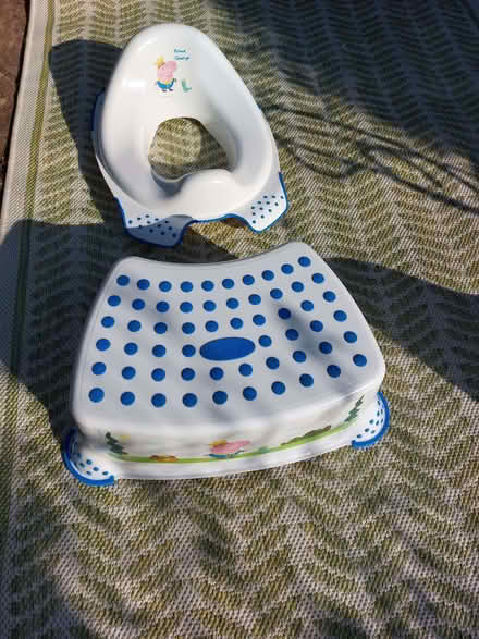 Photo of free child's potty, toilet seat and step (Church RG2) #1