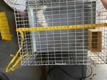 Photo of free Small pet cage (Alvarado-Niles) #2