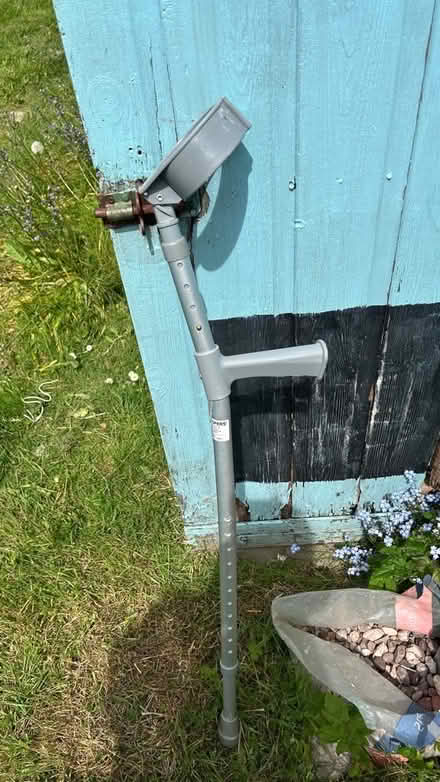Photo of free walking stick/crutch (Dolwyd LL31) #1