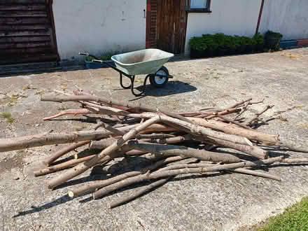 Photo of free Dry cord wood (Chalvington BN27) #1