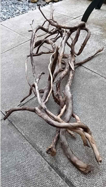Photo of free Twisted Driftwood Bundle (Longridge PR3) #2