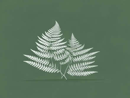 Photo of free Garden Ferns (Waverton CH3) #1